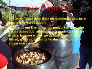 FUNCIONAMENTO O decompositor deve ficar em ambientes abertos e que receba horas de sol; Dentro de um Decompositor podem ser colocados restos de comida, alimentos estragados, cascas de frutas, legumes e ovos, pó de café (com o papel filtro), vísceras, folhas de verduras e legumes, cinzas entre outros 