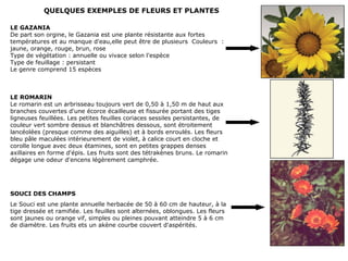 QUELQUES EXEMPLES DE FLEURS ET PLANTES
LE GAZANIA
De part son orgine, le Gazania est une plante résistante aux fortes
températures et au manque d'eau,elle peut être de plusieurs Couleurs :
jaune, orange, rouge, brun, rose
Type de végétation : annuelle ou vivace selon l'espèce
Type de feuillage : persistant
Le genre comprend 15 espèces
SOUCI DES CHAMPS
Le Souci est une plante annuelle herbacée de 50 à 60 cm de hauteur, à la
tige dressée et ramifiée. Les feuilles sont alternées, oblongues. Les fleurs
sont jaunes ou orange vif, simples ou pleines pouvant atteindre 5 à 6 cm
de diamètre. Les fruits ets un akène courbe couvert d'aspérités.
LE ROMARIN
Le romarin est un arbrisseau toujours vert de 0,50 à 1,50 m de haut aux
branches couvertes d'une écorce écailleuse et fissurée portant des tiges
ligneuses feuillées. Les petites feuilles coriaces sessiles persistantes, de
couleur vert sombre dessus et blanchâtres dessous, sont étroitement
lancéolées (presque comme des aiguilles) et à bords enroulés. Les fleurs
bleu pâle maculées intérieurement de violet, à calice court en cloche et
corolle longue avec deux étamines, sont en petites grappes denses
axillaires en forme d'épis. Les fruits sont des tétrakènes bruns. Le romarin
dégage une odeur d'encens légèrement camphrée.
 