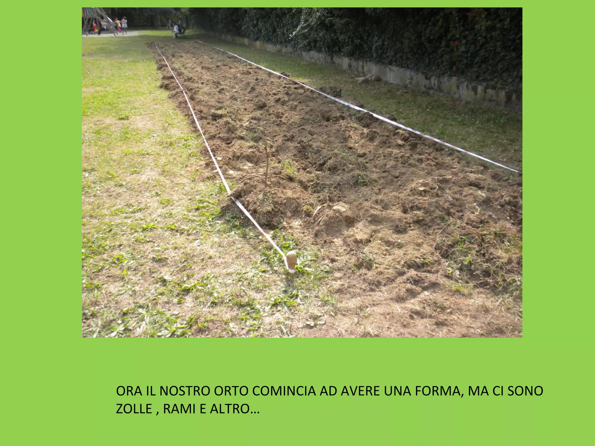 ORA IL NOSTRO ORTO COMINCIA AD AVERE UNA FORMA, MA CI SONO 
ZOLLE , RAMI E ALTRO… 
 