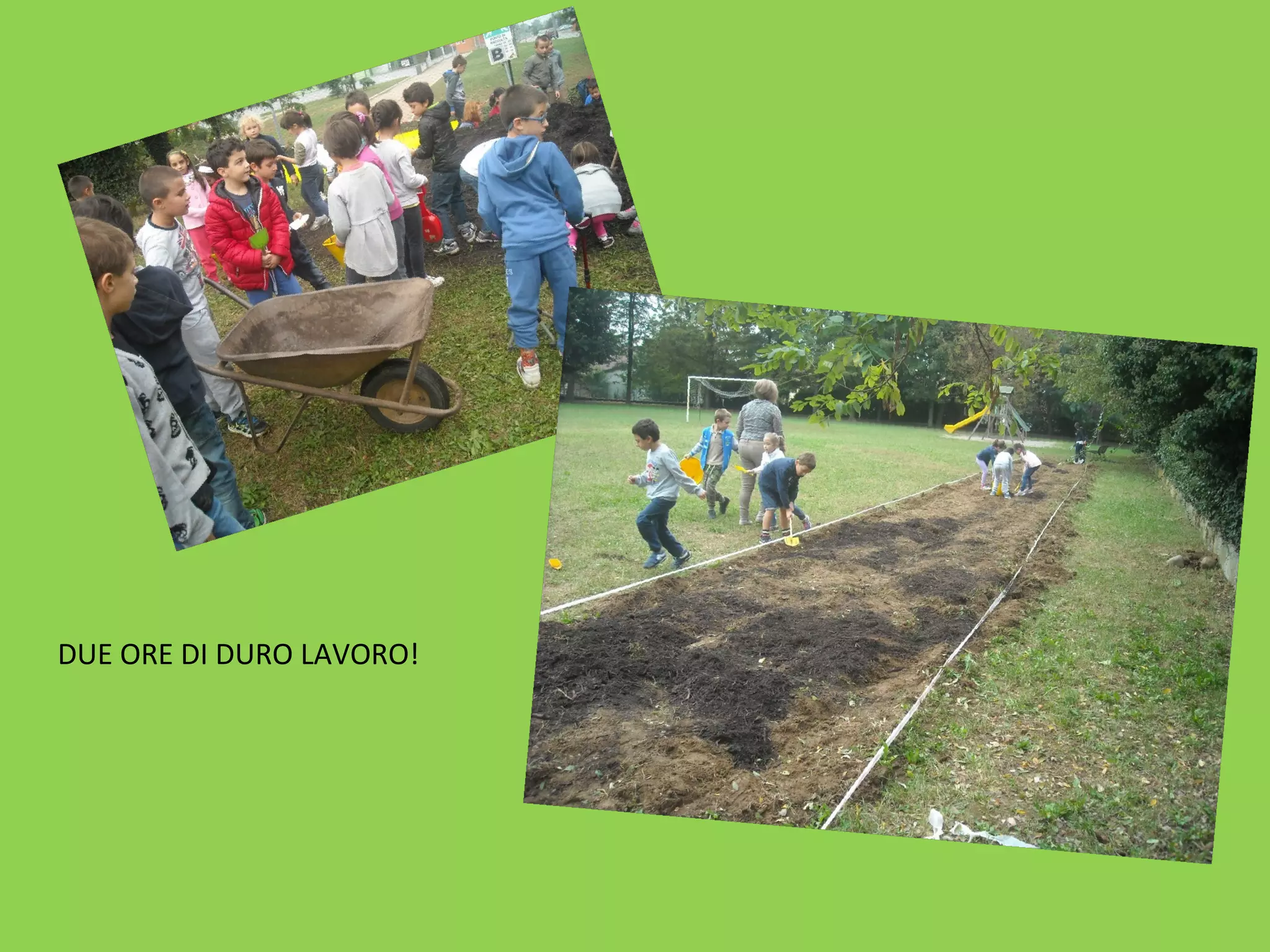 DUE ORE DI DURO LAVORO! 
 