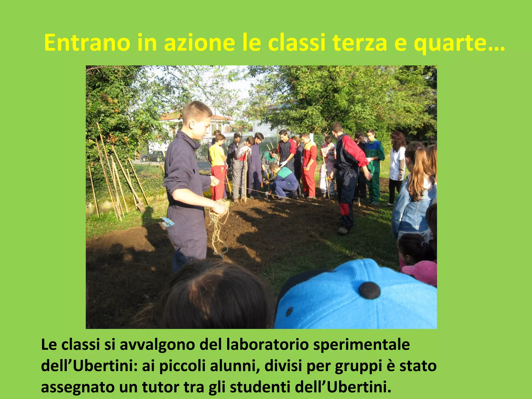 Entrano in azione le classi terza e quarte… 
Le classi si avvalgono del laboratorio sperimentale 
dell’Ubertini: ai piccoli alunni, divisi per gruppi è stato 
assegnato un tutor tra gli studenti dell’Ubertini. 
 
