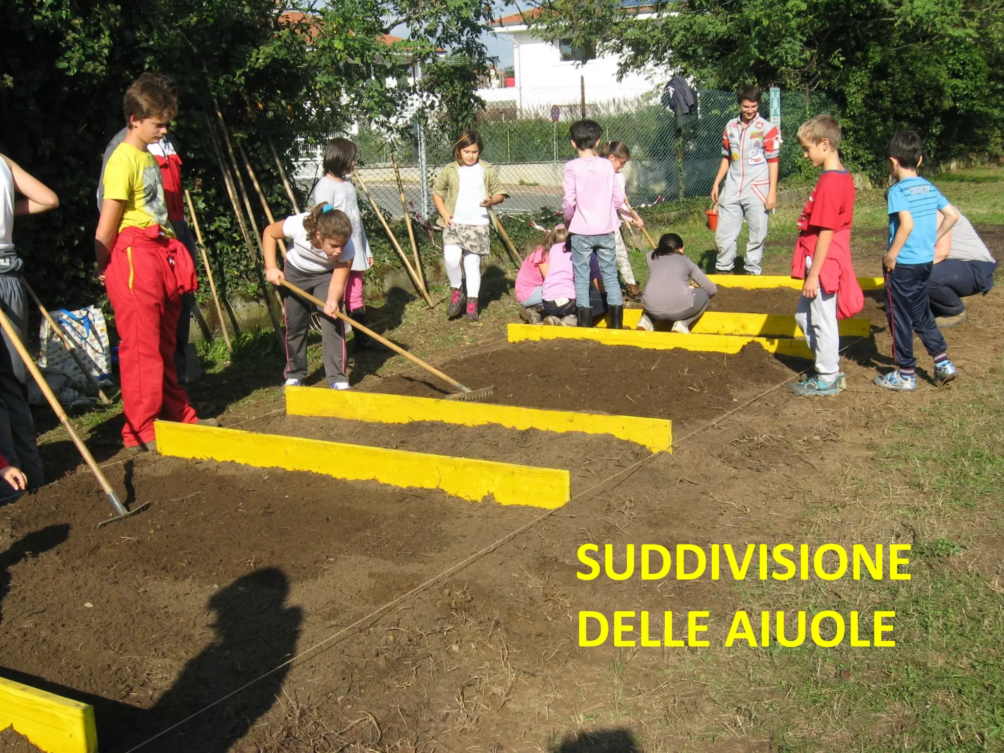 SUDDIVISIONE 
DELLE AIUOLE 
 