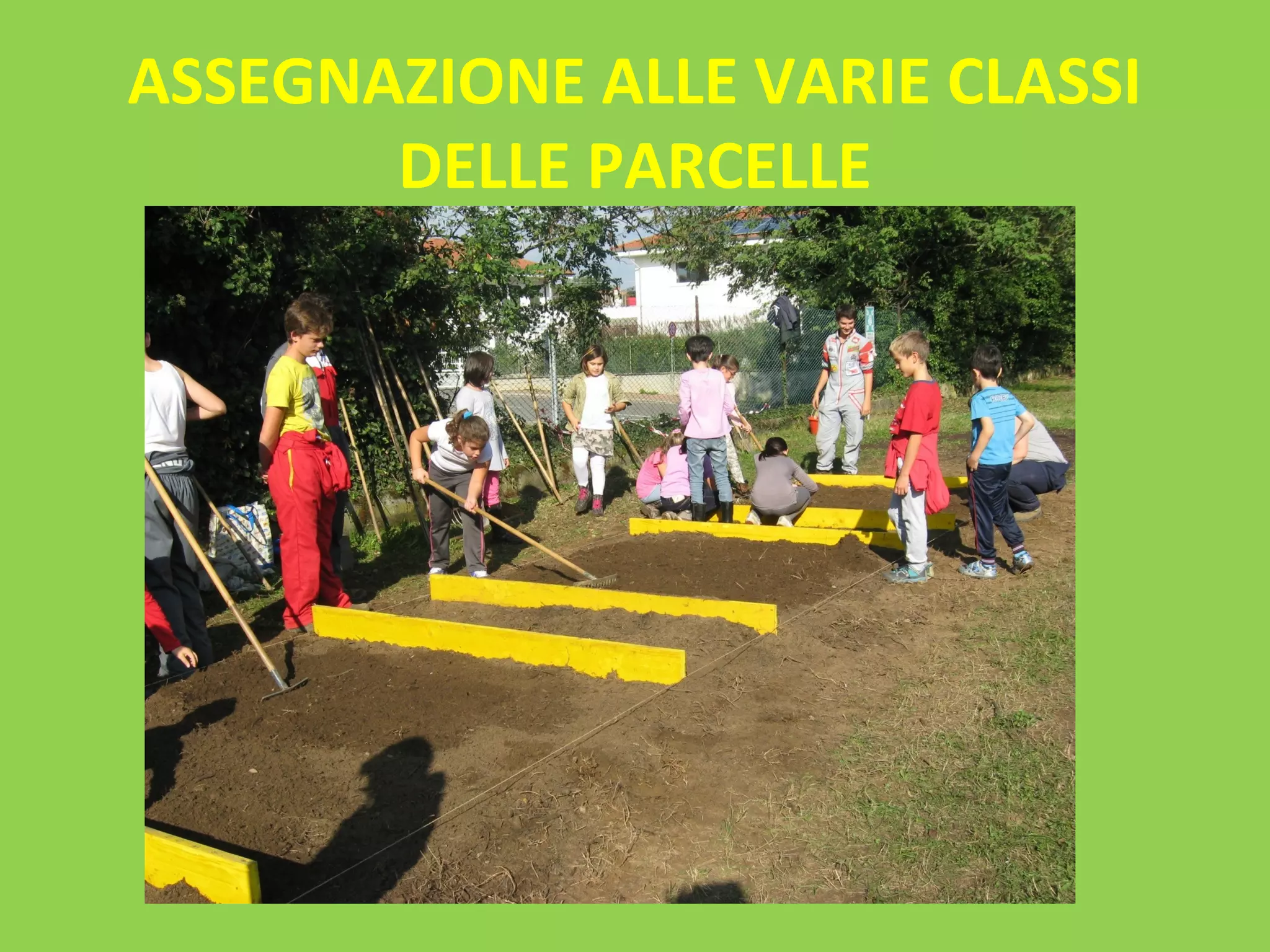 ASSEGNAZIONE ALLE VARIE CLASSI 
DELLE PARCELLE 
 