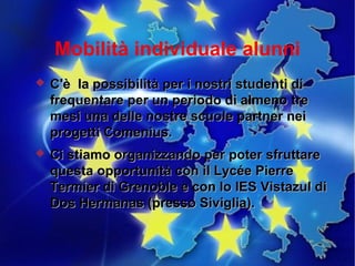 Mobilità individuale alunni
   C'è la possibilità per i nostri studenti di
    frequentare per un periodo di almeno tre
    mesi una delle nostre scuole partner nei
    progetti Comenius.
   Ci stiamo organizzando per poter sfruttare
    questa opportunità con il Lycée Pierre
    Termier di Grenoble e con lo IES Vistazul di
    Dos Hermanas (presso Siviglia).
 