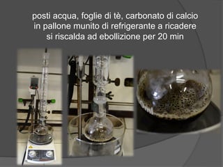 posti acqua, foglie di tè, carbonato di calcio 
in pallone munito di refrigerante a ricadere 
si riscalda ad ebollizione per 20 min 
 