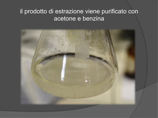 il prodotto di estrazione viene purificato con 
acetone e benzina 
 