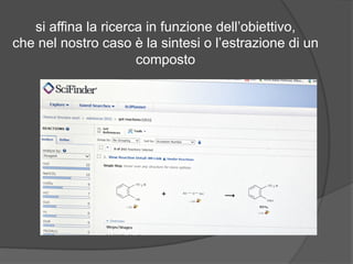 si affina la ricerca in funzione dell’obiettivo, 
che nel nostro caso è la sintesi o l’estrazione di un 
composto 
 