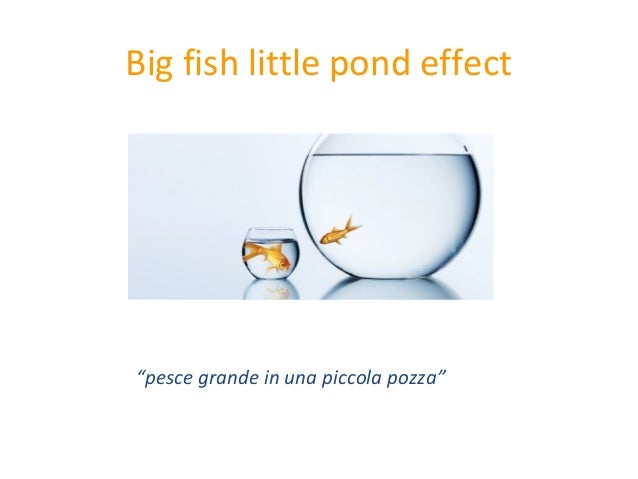 small fish big pond dating small fish big pond dating