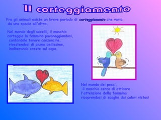 Fra gli animali esiste un breve periodo di corteggiamentocorteggiamento che varia
da una specie all'altra.
Nel mondo degli uccelli, il maschio
corteggia la femmina pavoneggiandosi,
cantandole tenere canzoncine,
rivestendosi di piume bellissime,
inalberando creste sul capo.
Nel mondo dei pesci,
il maschio cerca di attirare
l'attenzione della femmina
ricoprendosi di scaglie dai colori vistosi
 