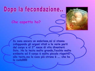 Che aspetto ho?
Io sono ancora un embrione,mi si stannoIo sono ancora un embrione,mi si stanno
sviluppando gli organi vitali e le varie partisviluppando gli organi vitali e le varie parti
del corpo e al 3° mese di vita diventeròdel corpo e al 3° mese di vita diventerò
feto. Ho la testa molto grande,l’occhio moltofeto. Ho la testa molto grande,l’occhio molto
evidente ed il corpo è molto piccolo rispettoevidente ed il corpo è molto piccolo rispetto
alla testa,ma la cosa più strana è …. che hoalla testa,ma la cosa più strana è …. che ho
la coda!!!!!!!!la coda!!!!!!!!
 