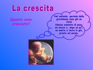 Quanto sono
cresciuto?
Nel secondo periodo dellaNel secondo periodo della
gravidanza sono già ungravidanza sono già un
feto!feto!
Adesso aumento di peso,Adesso aumento di peso,
mi muovo e, dopo un po’,mi muovo e, dopo un po’,
mi metto a testa in giù,mi metto a testa in giù,
pronto ad uscire.pronto ad uscire.
 