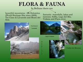 FLORA & FAUNA
                         In Belluno there are

beautiful mountains: the Dolomites
(World Heritage Site since 2009),         fantastic waterfalls, lakes and
Tre Cime di Lavaredo and Monti del        torrents: Soffia, Lago del Mis,
Sole.                                     Vedana and Piave river.


                        Tre Cime di
                         Lavaredo




                                            Lago di Vedana



                                      S
                                      o
                                      s
                                      p
                                      i                           Cadini del Brenton
                                      r
                                      o
                                      l
                                      o
 