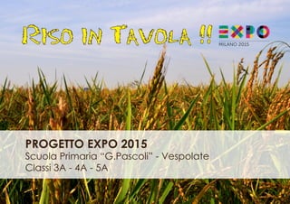Riso in Tavola !!
PROGETTO EXPO 2015
Scuola Primaria “G.Pascoli” - Vespolate
Classi 3A - 4A - 5A
 