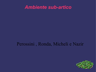 Ambiente sub-artico Perossini , Ronda, Micheli e Nazir  
