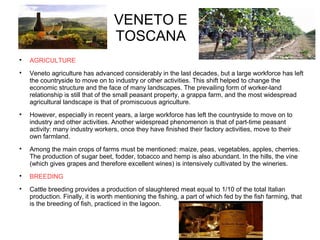 VENETO E
TOSCANA

AGRICULTURE

Veneto agriculture has advanced considerably in the last decades, but a large workforce has left
the countryside to move on to industry or other activities. This shift helped to change the
economic structure and the face of many landscapes. The prevailing form of worker-land
relationship is still that of the small peasant property, a grappa farm, and the most widespread
agricultural landscape is that of promiscuous agriculture.

However, especially in recent years, a large workforce has left the countryside to move on to
industry and other activities. Another widespread phenomenon is that of part-time peasant
activity: many industry workers, once they have finished their factory activities, move to their
own farmland.

Among the main crops of farms must be mentioned: maize, peas, vegetables, apples, cherries.
The production of sugar beet, fodder, tobacco and hemp is also abundant. In the hills, the vine
(which gives grapes and therefore excellent wines) is intensively cultivated by the wineries.

BREEDING

Cattle breeding provides a production of slaughtered meat equal to 1/10 of the total Italian
production. Finally, it is worth mentioning the fishing, a part of which fed by the fish farming, that
is the breeding of fish, practiced in the lagoon.
 