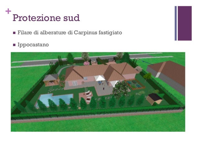 Progetto giardino residenziale frontera francesco esame corso garden … Progettazione giardini verona