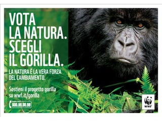 Progetto gorilla