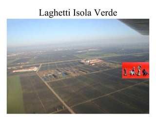 Laghetti Isola Verde 