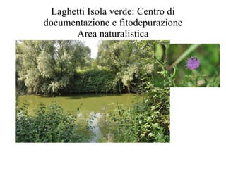 Laghetti Isola verde: Centro di documentazione e fitodepurazione Area naturalistica 