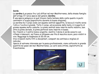 La Pesca a Brolo - STORIA E TECNICHE - Classe Quinta Primaria - Brolo Via Trento