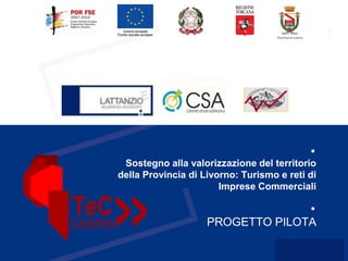 Sostegno alla valorizzazione del territorio
della Provincia di Livorno: Turismo e reti di
Imprese Commerciali
PROGETTO PILOTA
 