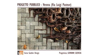 PROGETTO PUBBLICO - Verona (Via Luigi Pasteur)
Progettista: GIOVANNI GUERCIACorso Garden Design
 