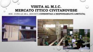 VISITA AL M.I.C.
MERCATO ITTICO CIVITANOVESE
SOC. CONS.LE AR.L. (SOCIETÀ CONSORTILE A RESPONSABILITÀ LIMITATA).
 