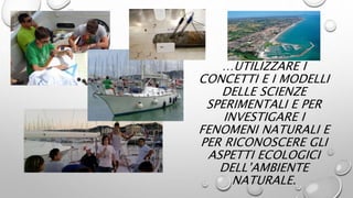 …UTILIZZARE I
CONCETTI E I MODELLI
DELLE SCIENZE
SPERIMENTALI E PER
INVESTIGARE I
FENOMENI NATURALI E
PER RICONOSCERE GLI
ASPETTI ECOLOGICI
DELL’AMBIENTE
NATURALE.
 