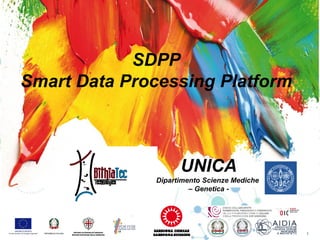 1 1
SDPP
Smart Data Processing Platform
UNICA
Dipartimento Scienze Mediche
– Genetica -
 