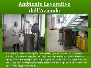 Ambiente Lavorativo
dell'Azienda
L’azienda è divisa in due parti: una parte “pulita” e una parte “sporca”.L’azienda è divisa in due parti: una parte “pulita” e una parte “sporca”.
L’unico potenziale “pericolo” sul lavoro è rappresentato dall'esposizioneL’unico potenziale “pericolo” sul lavoro è rappresentato dall'esposizione
alle esalazioni di senape, questo, però, può avvenire solo se il personale nonalle esalazioni di senape, questo, però, può avvenire solo se il personale non
utilizza le protezioni previste dalla normativa, ma degli eventuli “rischi” neutilizza le protezioni previste dalla normativa, ma degli eventuli “rischi” ne
parleremo meglio più avanti...parleremo meglio più avanti...
 
