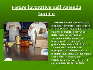 Figure lavorative nell’Azienda
Luccini
L’Azienda Luccini è a conduzioneL’Azienda Luccini è a conduzione
familiare, i lavoratori sono in tuttofamiliare, i lavoratori sono in tutto
otto: la Direttrice Luisa Luccini, unotto: la Direttrice Luisa Luccini, un
ragazzo apprendista provenienteragazzo apprendista proveniente
dalla scuola Alberghiera didalla scuola Alberghiera di
Cremona, quattro donne e unCremona, quattro donne e un
impiegato che si occupa dellaimpiegato che si occupa della
gestione informatica dell’Azienda.gestione informatica dell’Azienda.
Le donne nell’Azienda sonoLe donne nell’Azienda sono
impiegate principalmente per laimpiegate principalmente per la
mondatura, la pulizia, il taglio dellamondatura, la pulizia, il taglio della
frutta e della verdura, perfrutta e della verdura, per
l’etichettatura dei vasetti e per ill’etichettatura dei vasetti e per il
confezionamento dei prodotti.confezionamento dei prodotti.
 