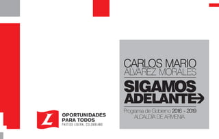 Programa de Gobierno, Carlos Mario Álvarez