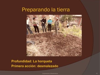 Preparando la tierra




Profundidad: La horqueta
Primera acción: desmalezado

                 Corporación Indoamérica   10
 