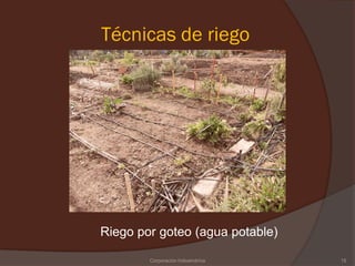 Técnicas de riego




Riego por goteo (agua potable)

        Corporación Indoamérica   15
 
