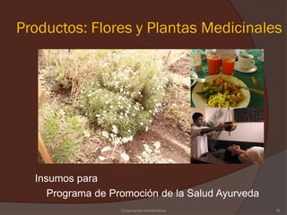 Productos: Flores y Plantas Medicinales




  Insumos para
     Programa de Promoción de la Salud Ayurveda
                   Corporación Indoamérica        16
 