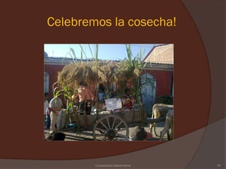 Celebremos la cosecha!




        Corporación Indoamérica   19
 