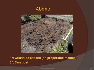 Abono




1º: Guano de caballo (en proporción medida)
2º: Compost
                   Corporación Indoamérica    11
 