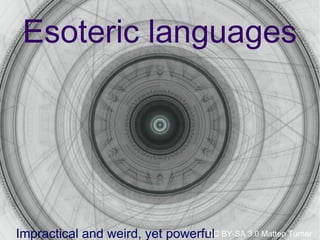 The Other Programming Languages | PPT