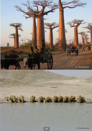 c

17

c

Gérard Guerrier

Gary Bourgouin

 