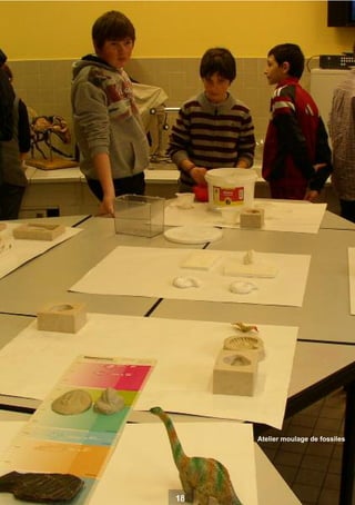 Atelier moulage de fossiles

18

 