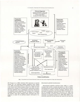 prognostic and predictive biomarkers of canine osteosarcoma | PDF