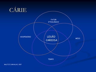 CÁRIEFATORETIOLÓGICOHOSPEDEIROMEIOLESÃO CARIOSATEMPOMALTZ E CARVALHO, 1997
