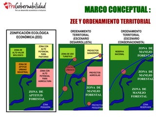MARCO CONCEPTUAL :
ZEE Y ORDENAMIENTO TERRITORIAL
ZONA DE
APTITUD
URBANO
INDUSTRIAL
ZONA DE
ALTO VALOR
BIOLOGICO
ZONA CON
ALTO
POTENCIAL
PARA
AGRICULTURA
ZONA CON
ALTO
POTENCIAL
PARA
PASTURAS
ZONA DE
APTITUD
FORESTAL
ZONA
PESQUERA
ORDENAMIENTO
TERRITORIAL
(ESCENARIO
DESARROLLISTA)
ZONA DE USO
TURISTICO
PROYECTOS
AGRÍCOLAS
PROYECTOS
GANADEROS
ZONA DE
MANEJO
FORESTAL
PROYECTOS
PESQUEROS
CENTROS
URBANOS
RESERVA
NACIONAL
ZONA DE
MANEJO
FORESTAL
ZONA
RESERVADA
ZONA DE
MANEJO
FORESTAL
ZONA DE
MANEJO
FORESTAL
ORDENAMIENTO
TERRITORIAL
(ESCENARIO
CONSERVACIONISTA)
ZONIFICACIÓN ECOLÓGICA
ECONÓMICA (ZEE)
 