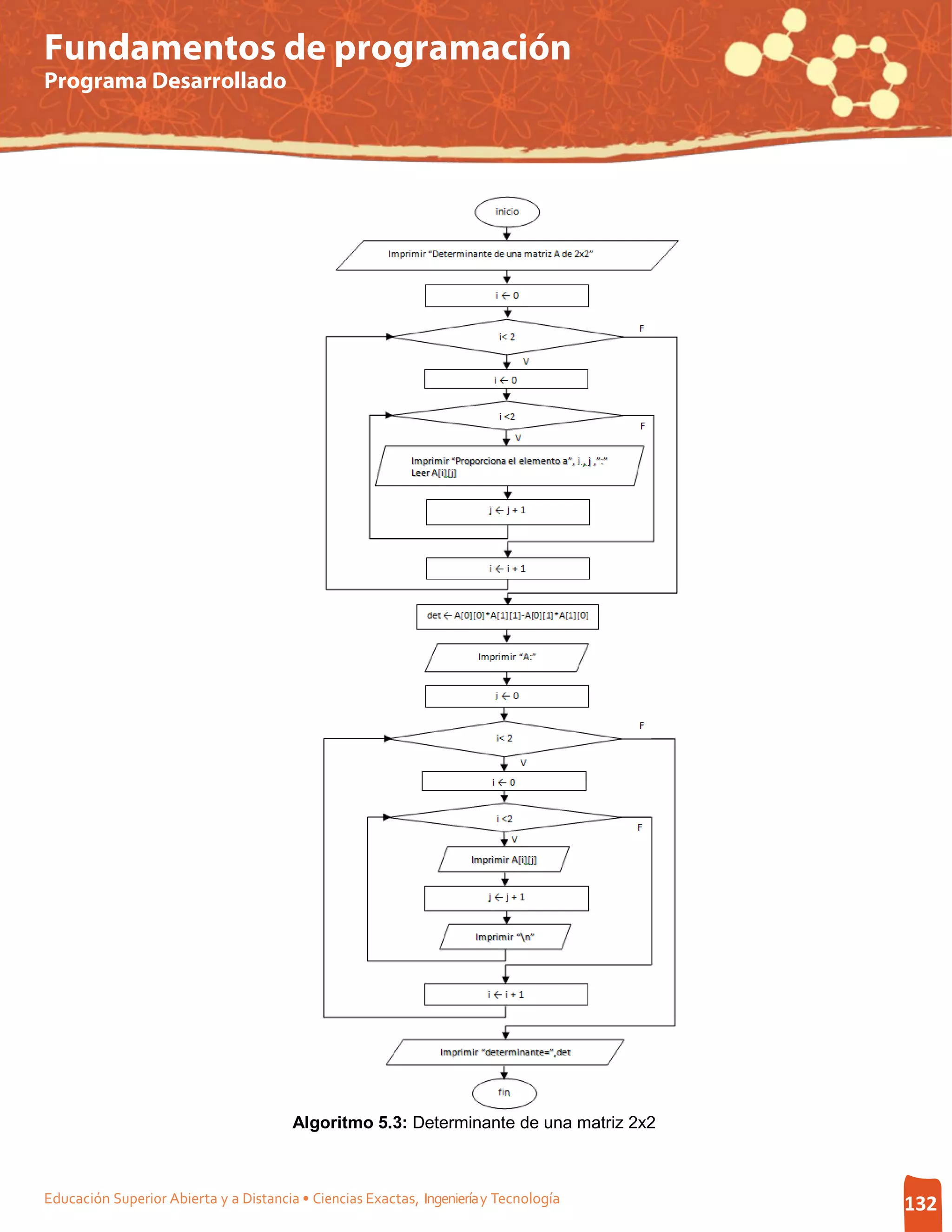 Fundamentos de programación
Programa Desarrollado




                                        Algoritmo 5.3: Determinante de una matriz 2x2



Educación Superior Abierta y a Distancia • Ciencias Exactas, Ingeniería y Tecnología    132
 