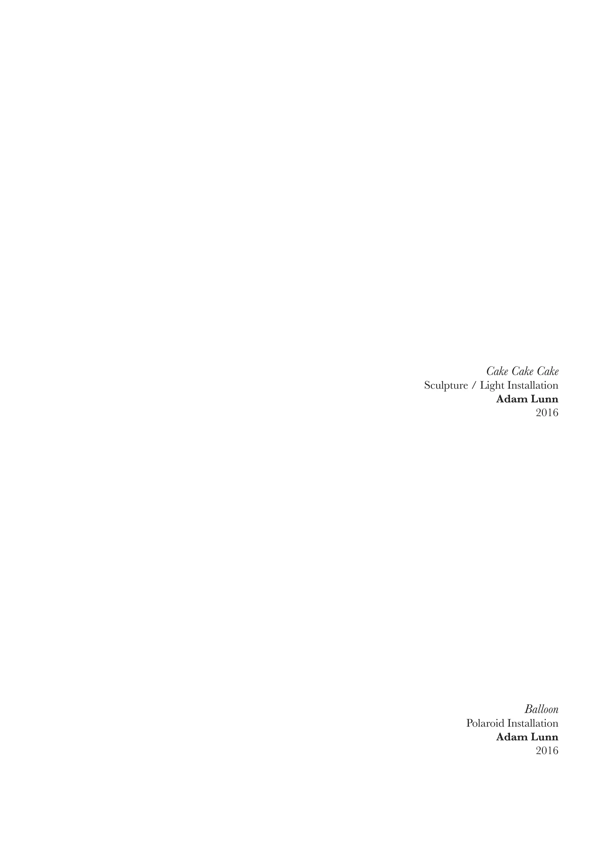 Balloon
Polaroid Installation
Adam Lunn
2016
Cake Cake Cake
Sculpture / Light Installation
Adam Lunn
2016
 