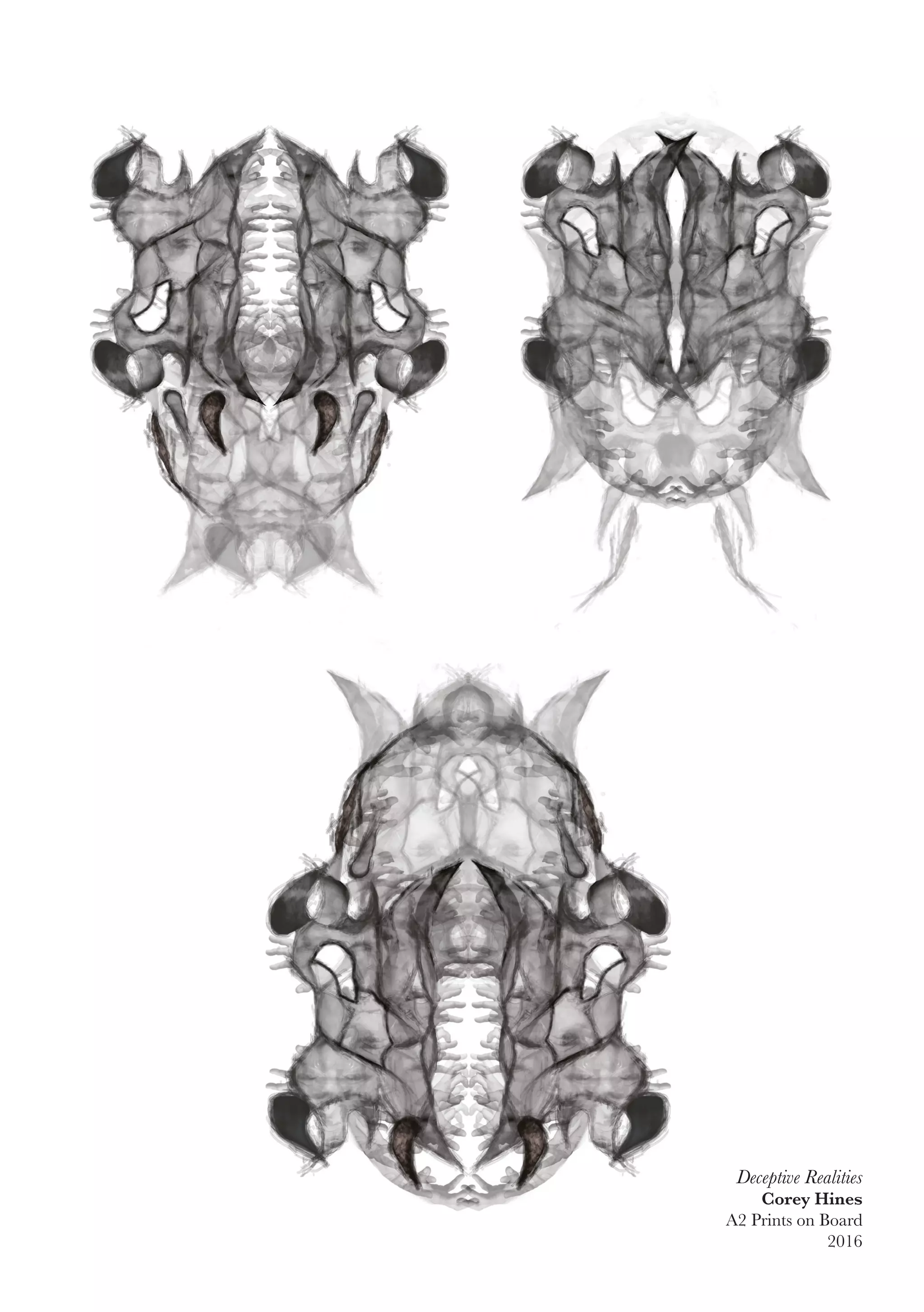 Deceptive Realities
Corey Hines
A2 Prints on Board
2016
 