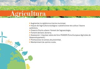 Agricultura
Augmentar la vigilància al terme municipal.
Impuls de l’agricultura ecològica i subvencionar els cultius i llavors
autòctons.
Creació d’horts urbans i foment de l’agroecologia.
Foment del banc de terra.
Assessorar i impulsar sobre els fons FEADER (Fons Europeus Agrícoles de
Desenvolupament.)
Promocionar el comerç de proximitat.
Manteniment de camins rurals.
 