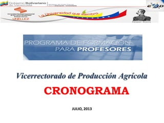 Vicerrectorado de Producción Agrícola
JULIO, 2013
CRONOGRAMA
 