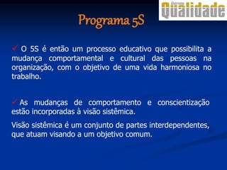  O 5S é então um processo educativo que possibilita a
mudança comportamental e cultural das pessoas na
organização, com o objetivo de uma vida harmoniosa no
trabalho.
 As mudanças de comportamento e conscientização
estão incorporadas à visão sistêmica.
Visão sistêmica é um conjunto de partes interdependentes,
que atuam visando a um objetivo comum.
Programa 5S
 