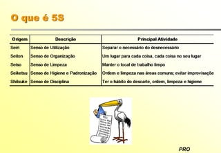 PRO
O que é 5S
 